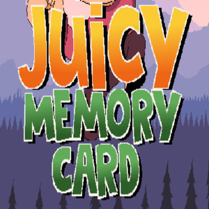 Acheter Juicy Memory Card Clé CD Comparateur Prix
