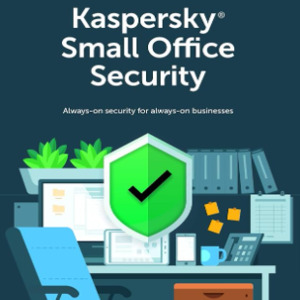 Kaspersky Small Office Security V8 Pc