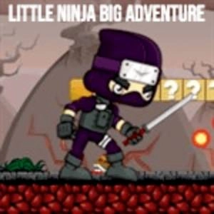 Little Ninja Big Adventure