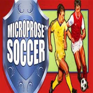 MicroProse Soccer Pc