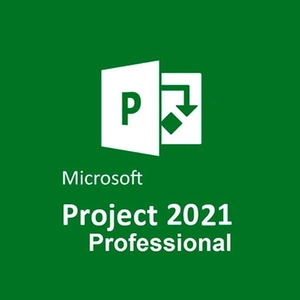 Microsoft Project Professional 2021 Pc