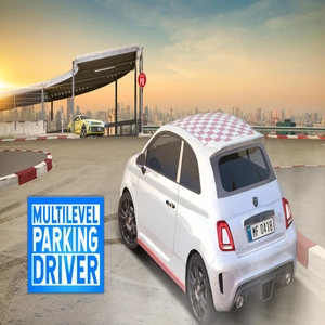 Multilevel Parking Driver Switch