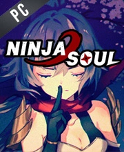 Ninja Soul Pc