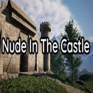 Nude In The Castle Pc
