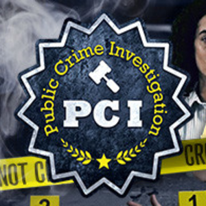 Acheter PCI Public Crime Investigation Clé CD Comparateur Prix