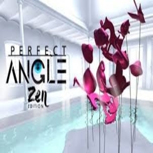 Acheter Perfect Angle VR Zen edition Clé CD Comparateur Prix