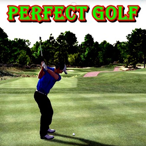 Acheter Perfect Golf Clé Cd Comparateur Prix