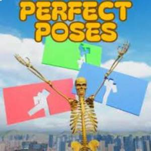 Perfect Poses Pc