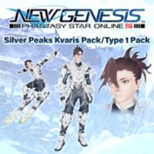 Phantasy Star Online 2 New Genesis Silver Peaks Kvaris Pack Type 1 Pack Pc