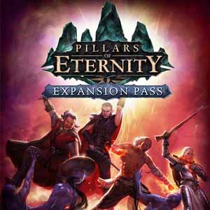 Acheter Pillars of Eternity Expansion Pass Clé Cd Comparateur Prix