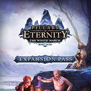 Acheter Pillars of Eternity The White March Expansion Pass Clé Cd Comparateur Prix