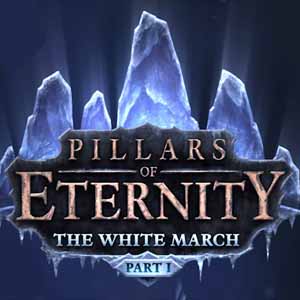 Acheter Pillars of Eternity The White March Part 1 Clé Cd Comparateur Prix