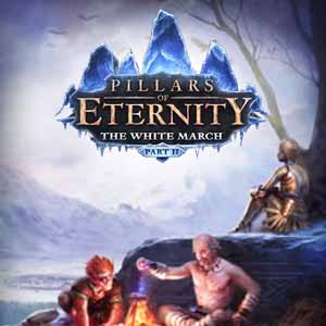 Acheter Pillars of Eternity The White March Part Two Clé Cd Comparateur Prix