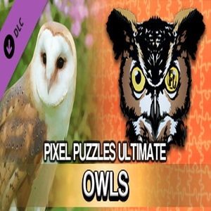 Pixel Puzzles Ultimate Puzzle Pack Owls Pc