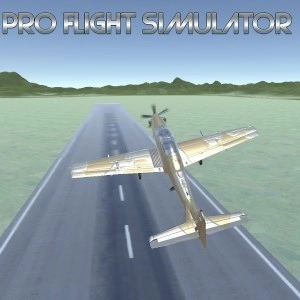 Pro Flight Simulator Pc