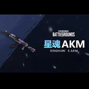 PUBG XingHun's AKM Pc