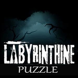 Puzzle For Labyrinthine
