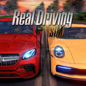 Real Driving Sim Switch