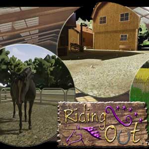 Acheter Riding Out Clé Cd Comparateur Prix