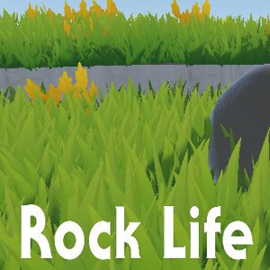 Acheter Rock Life The Rock Simulator VR Clé CD Comparateur Prix