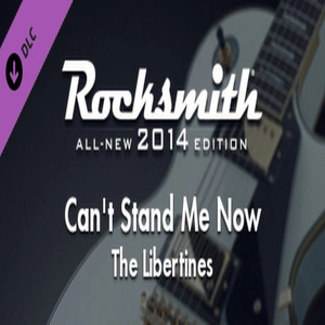 Rocksmith 2014 The Libertines Cant Stand Me Now Pc