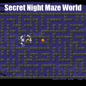 Acheter Secret Night Maze World Clé CD Comparateur Prix
