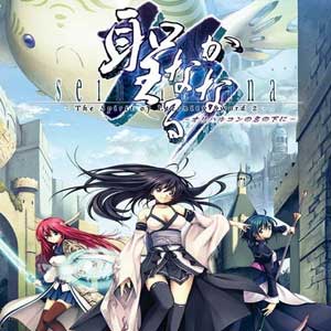 Acheter Seinarukana The Spirit of Eternity Sword 2 Clé Cd Comparateur Prix