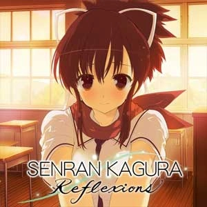 SENRAN KAGURA Reflexions New Accessory Set Switch
