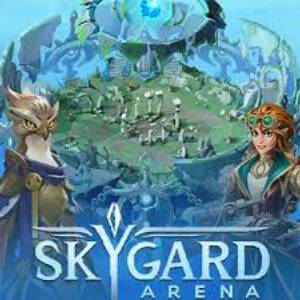 Skygard Arena Pc