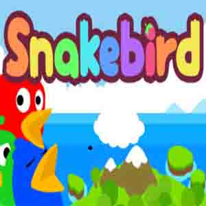 Acheter Snakebird Clé Cd Comparateur Prix