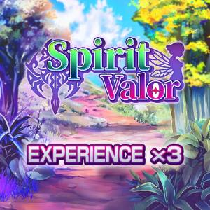 Spirit Valor Experience x3 Switch