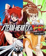 Acheter Steam-Heart’s & Advanced Variable Geo Saturn Tribute Nintendo Switch comparateur prix