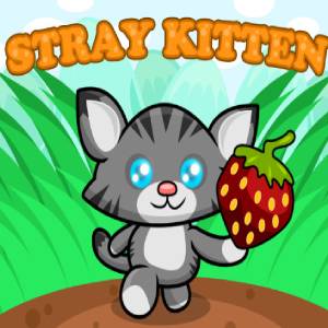 Acheter STRAY KITTEN Clé CD Comparateur Prix