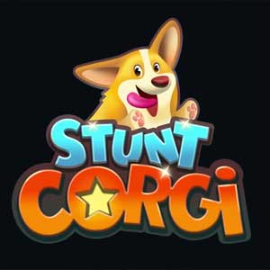 Acheter Stunt Corgi VR Clé Cd Comparateur Prix