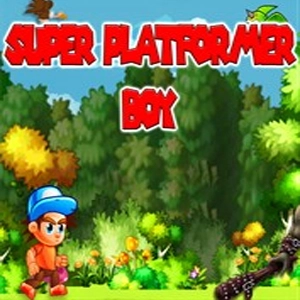 Super Platformer Boy Pc