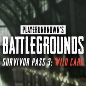 PUBG Survivor Pass 3 Wild Card