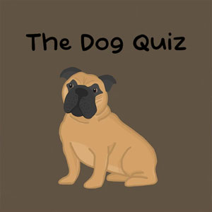 Acheter The Dog Quiz PS5 Comparateur Prix
