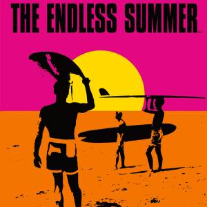 Acheter The Endless Summer Surfing Challenge Clé CD Comparateur Prix