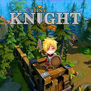 Acheter Tiny Knight Clé Cd Comparateur Prix