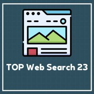 TOP Web Search 23 Switch