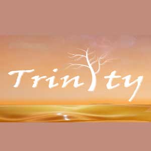 Acheter Trinity Clé CD Comparateur Prix