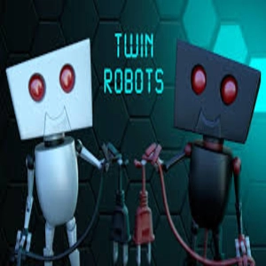 Twin Robots