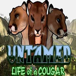 Untamed Life of a Cougar