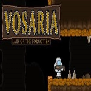 Vosaria Lair of the Forgotten Xbox Series X