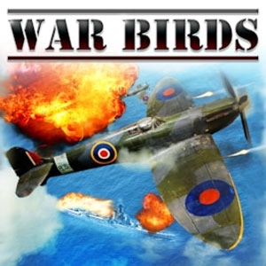 War Birds WW2 Air Strike 1942 Pc