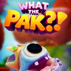 WHAT THE PAK Pc