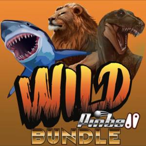 Acheter Wild Pinball Bundle Clé CD Comparateur Prix