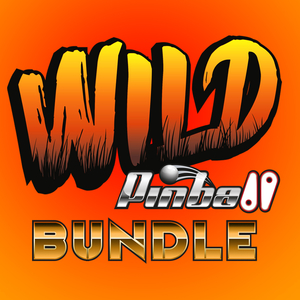 Acheter Wild Pinball Bundle Nintendo Switch comparateur prix