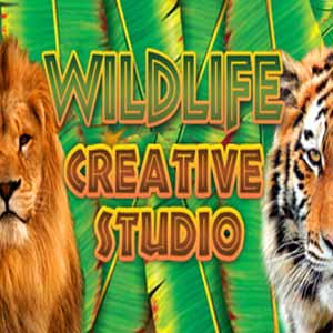 Acheter Wildlife Creative Studio Clé Cd Comparateur Prix