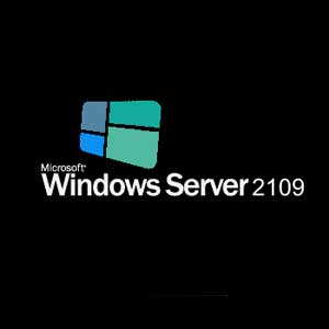 Acheter Windows Server 2019 Clé CD Comparateur Prix